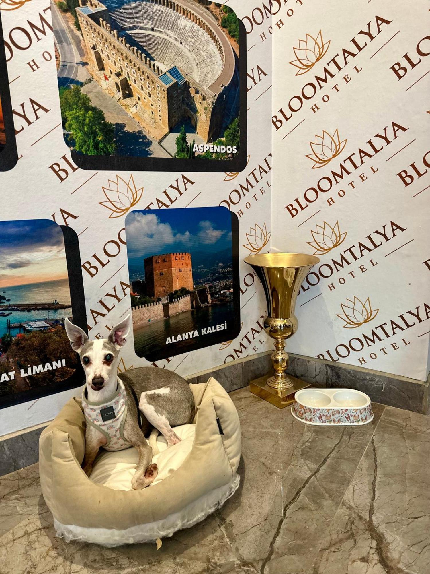 Bloomtalya Hotel Antalya Ngoại thất bức ảnh